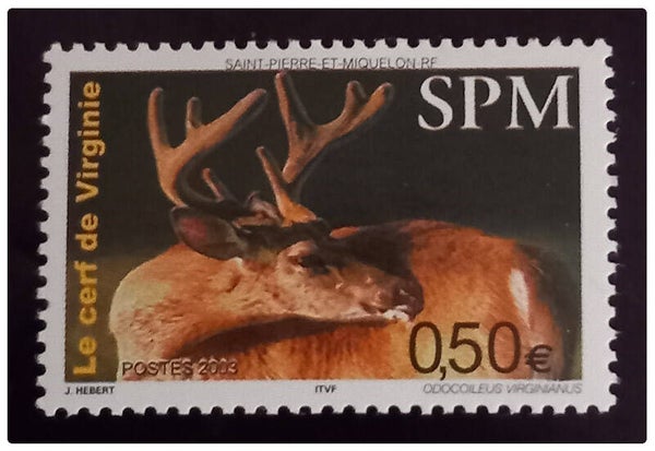 Timbre de Saint Pierre et Miquelon neuf numéro 799 ●