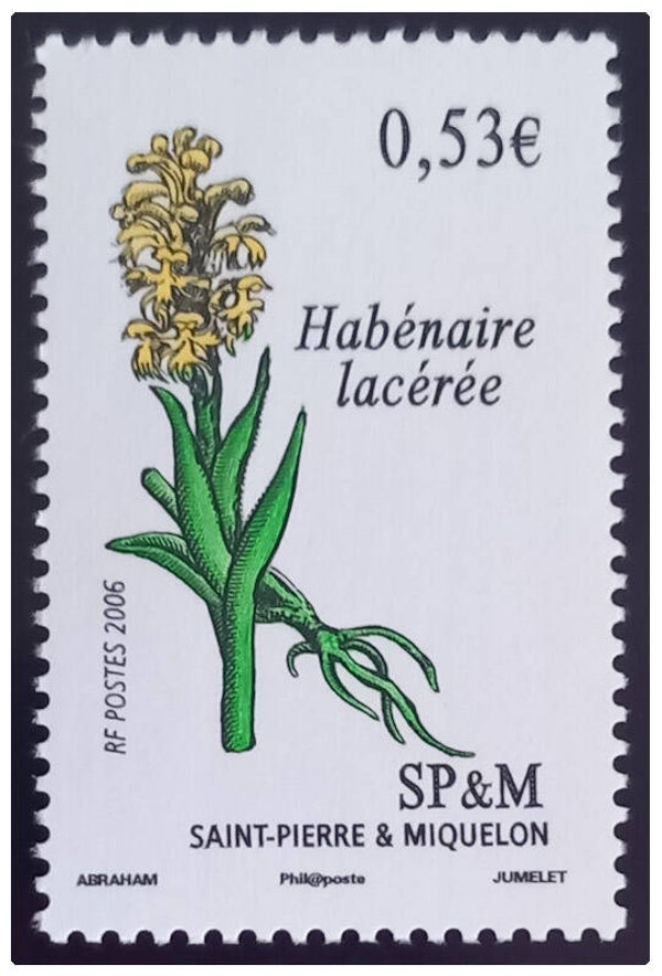 Timbre de Saint Pierre et Miquelon neuf numéro 874 ●