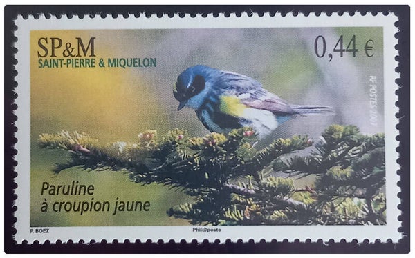 Timbre de Saint Pierre et Miquelon neuf numéro 891 ●