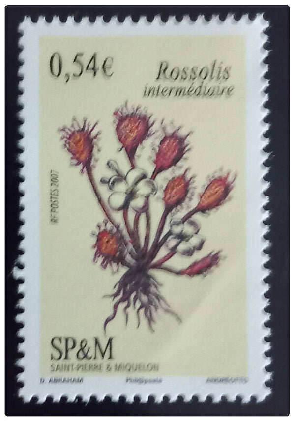 Timbre de Saint Pierre et Miquelon neuf numéro 900 ●