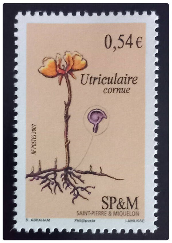 Timbre de Saint Pierre et Miquelon neuf numéro 901 ●