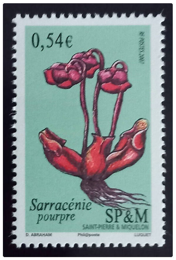 Timbre de Saint Pierre et Miquelon neuf numéro 903 ●
