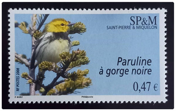 Timbre de Saint Pierre et Miquelon neuf numéro 916 ●