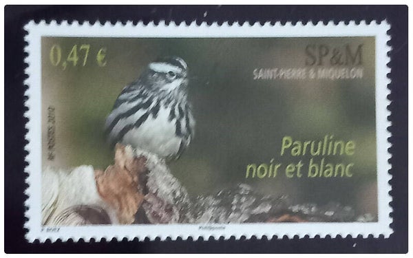 Timbre de Saint Pierre et Miquelon neuf numéro 972 ●
