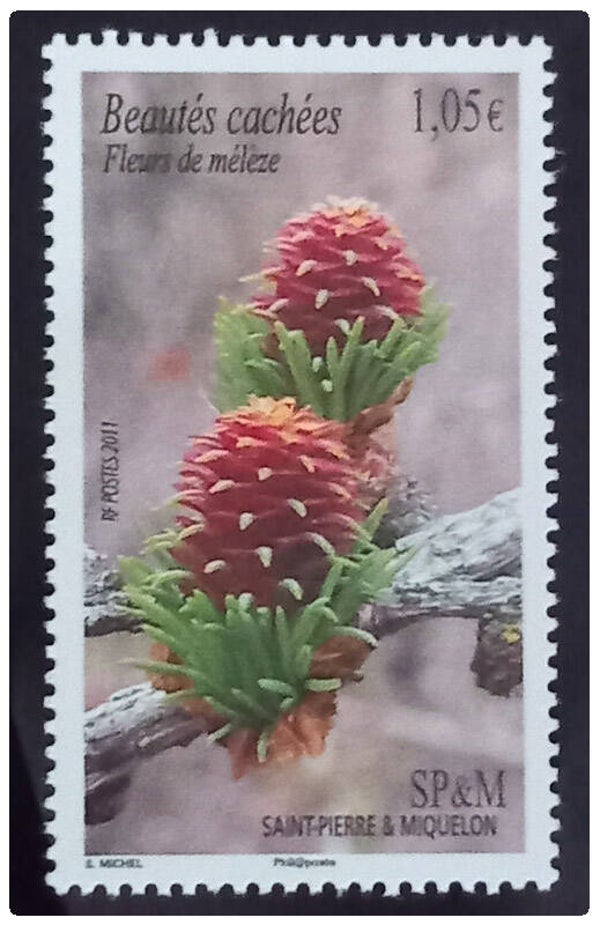 Timbre de Saint Pierre et Miquelon neuf numéro 994 ●