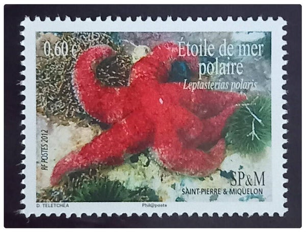 Timbre de Saint Pierre et Miquelon neuf numéro 1036 ●