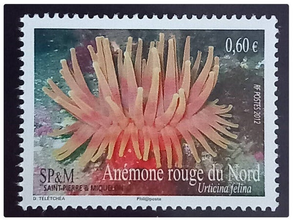 Timbre de Saint Pierre et Miquelon neuf numéro 1037 ●