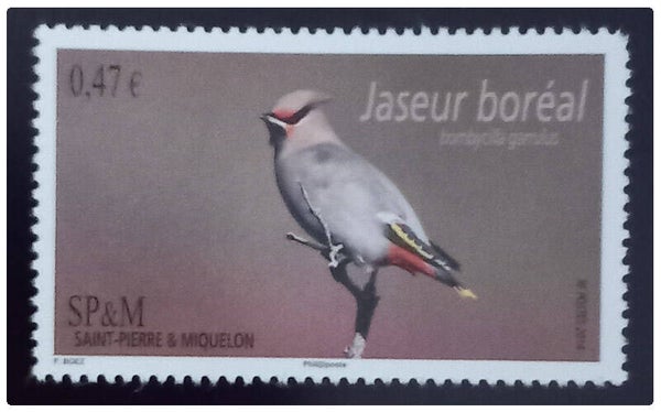 Timbre de Saint Pierre et Miquelon neuf numéro 1097 ●