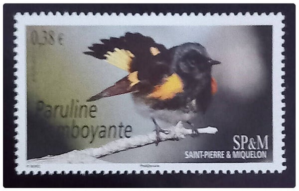 Timbre de Saint Pierre et Miquelon neuf numéro 1124 ●