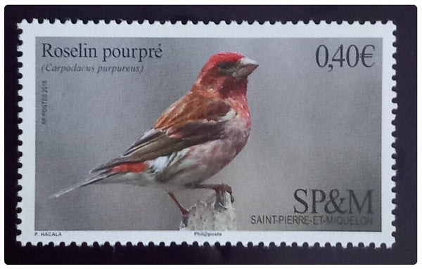 Timbre de Saint Pierre et Miquelon neuf numéro 1148 ●