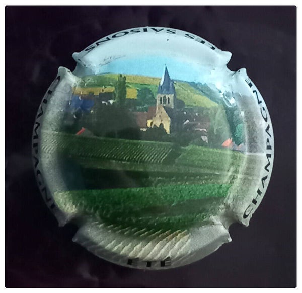 Capsule de champagne générique