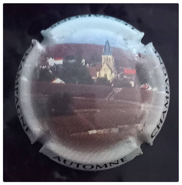 Capsule de champagne générique