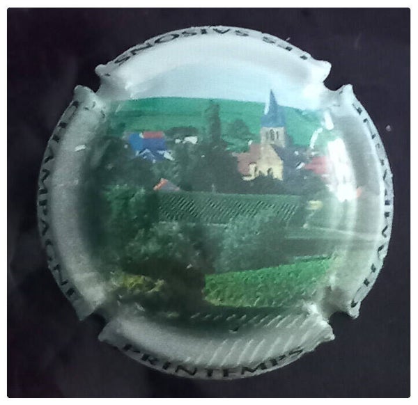 Capsule de champagne générique