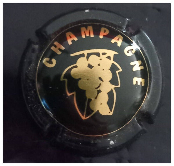 Capsule de champagne générique
