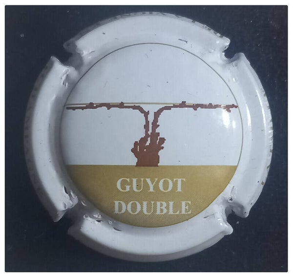 Capsule de champagne générique