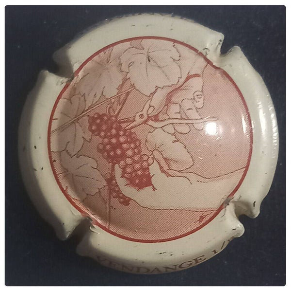 Capsule de champagne générique
