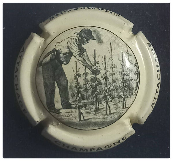 Capsule de champagne générique