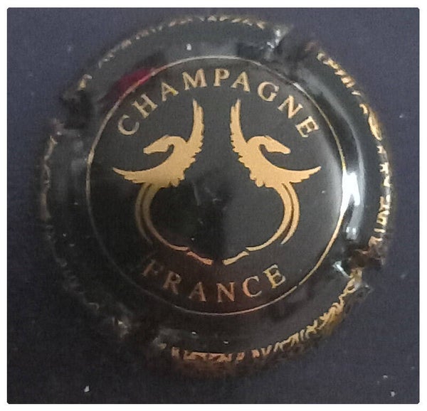 Capsule de champagne générique