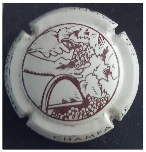 Capsule de champagne générique