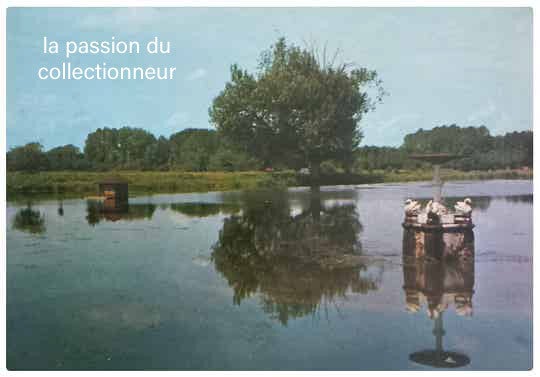 Carte postale d'iwuy l'étang