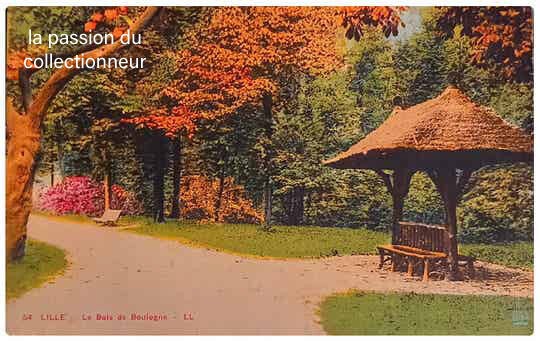 Carte postale de Lille le bois de Boulogne