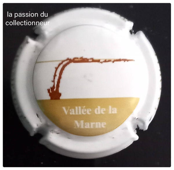 Capsule de champagne générique