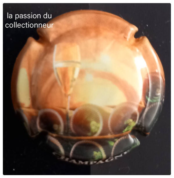 Capsule de champagne générique