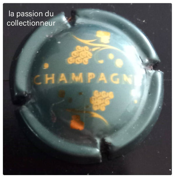 Capsule de champagne générique