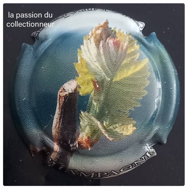 Capsule de champagne générique