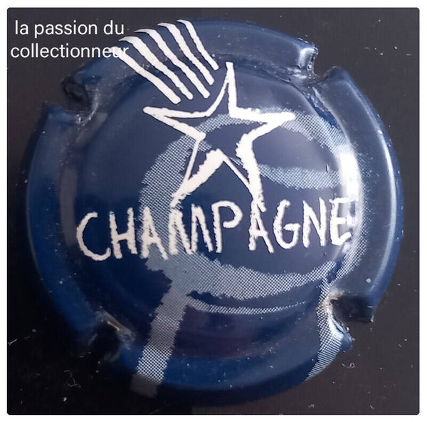 Capsule de champagne générique