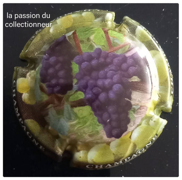 Capsule de champagne générique