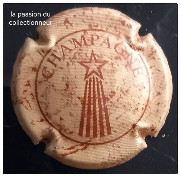 Capsule de champagne générique