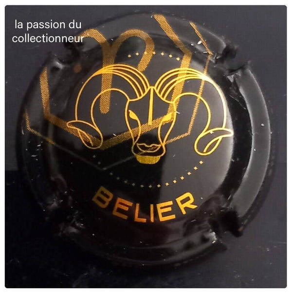Capsule de champagne générique