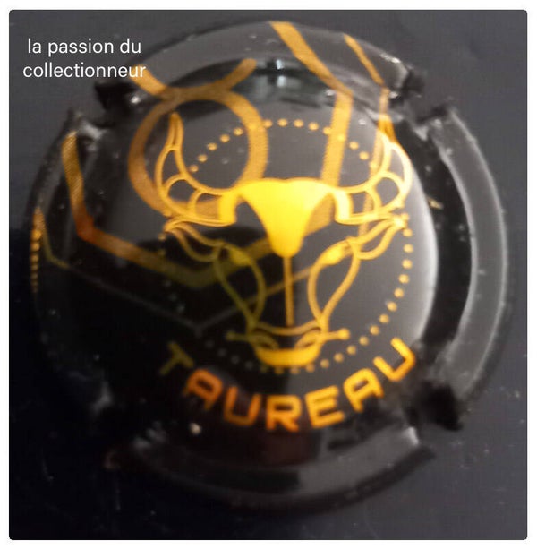 Capsule de champagne générique