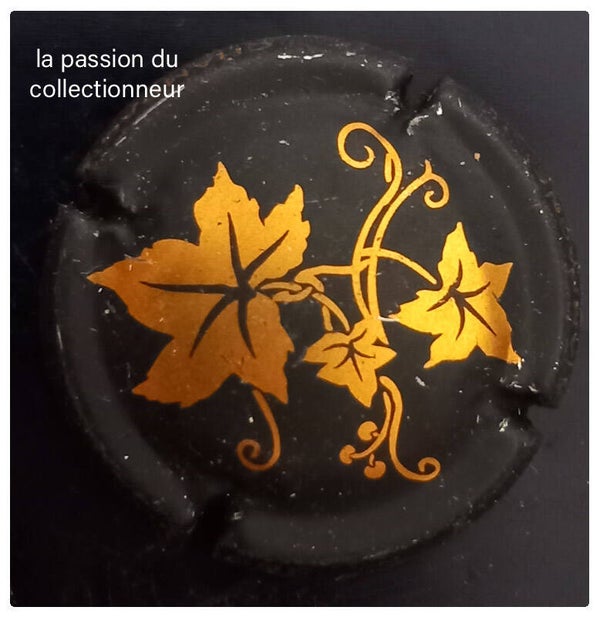 Capsule de champagne générique