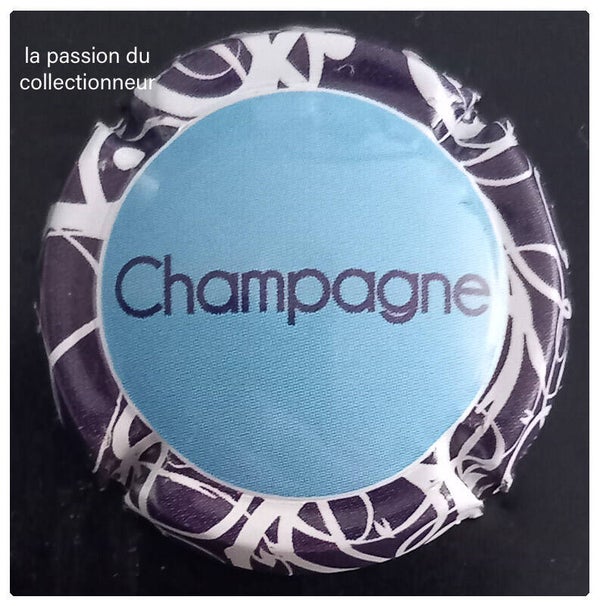 Capsule de champagne générique