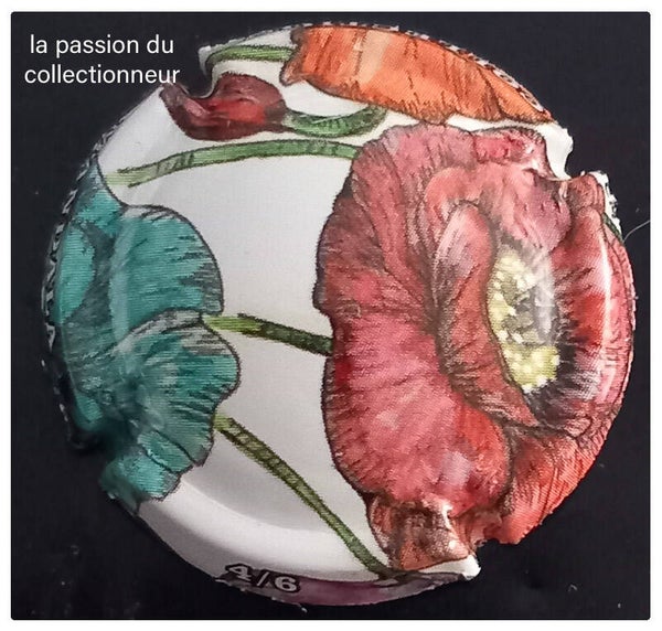 Capsule de champagne générique