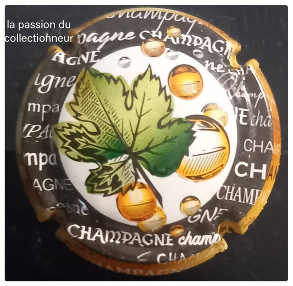 Capsule de champagne générique