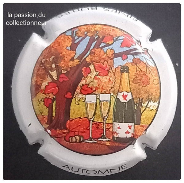 Capsule de champagne générique