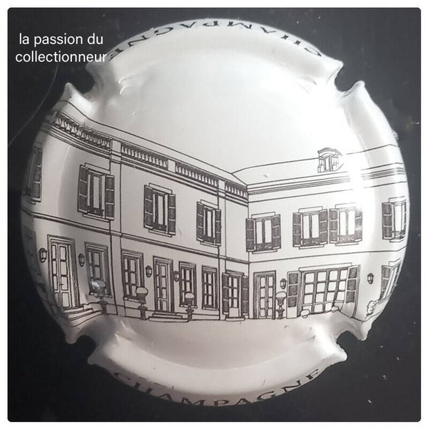 Capsule de champagne générique