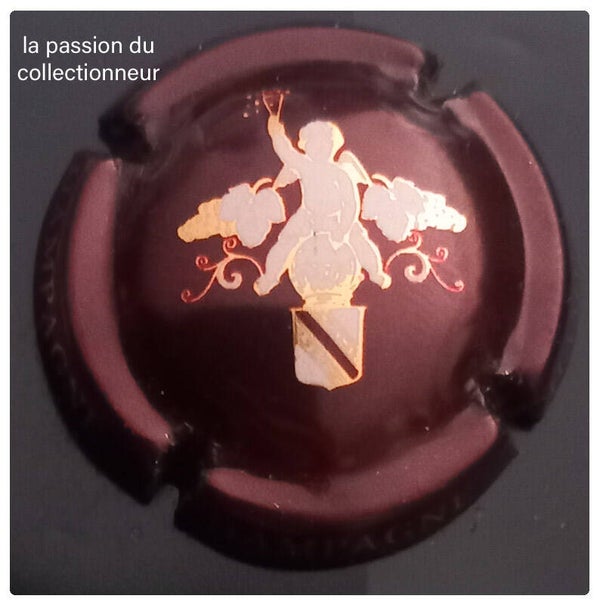 Capsule de champagne générique