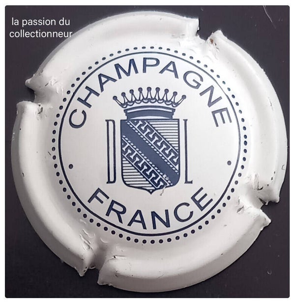 Capsule de champagne générique