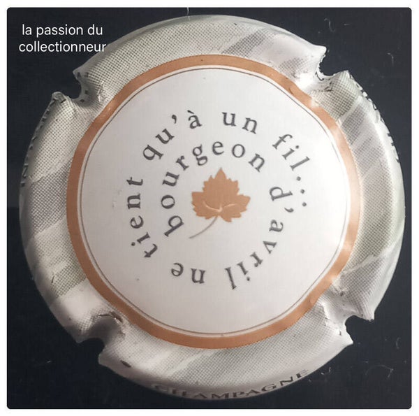 Capsule de champagne générique