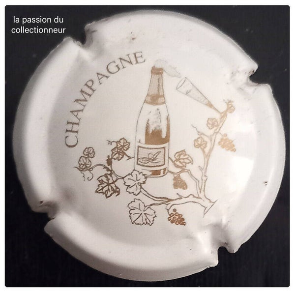 Capsule de champagne générique