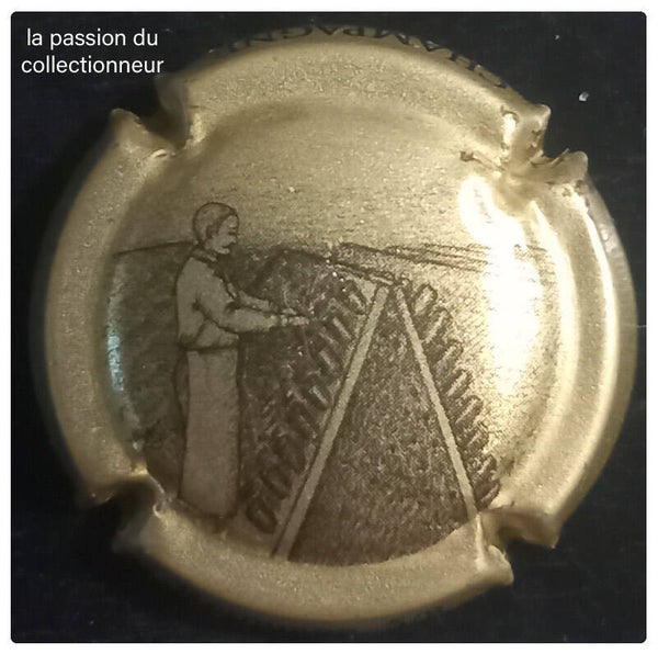 Capsule de champagne générique