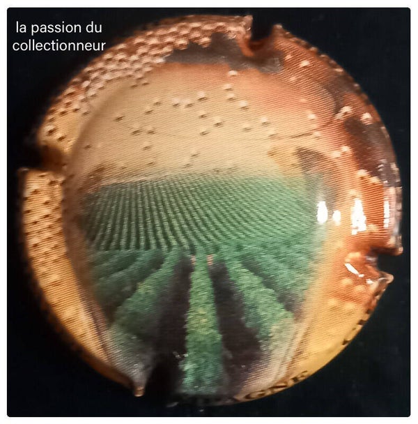 Capsule de champagne générique