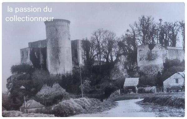 Falaise le château