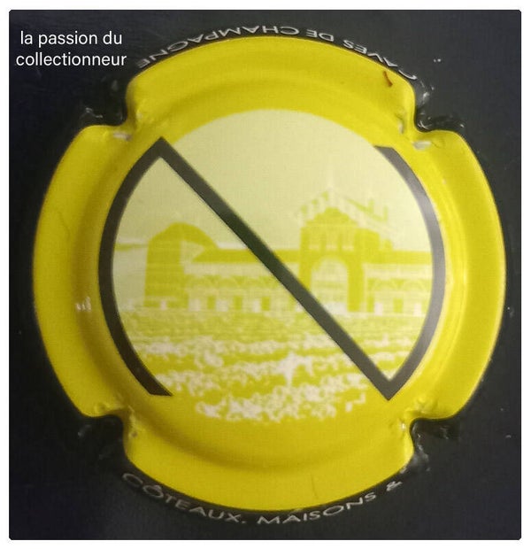 Capsule de champagne générique
