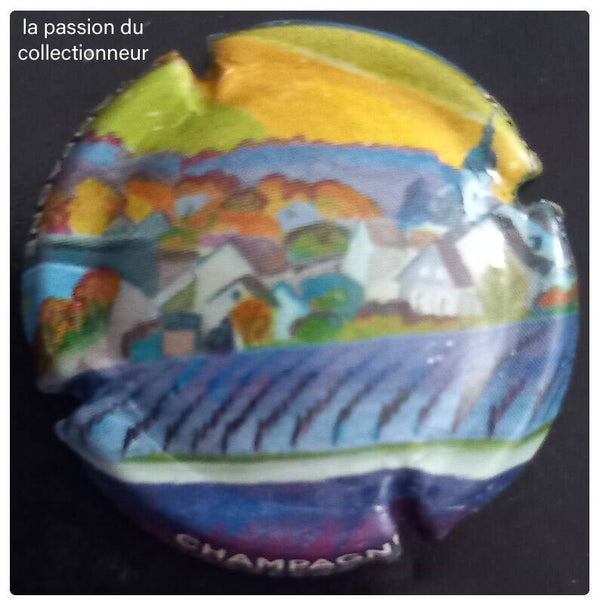 Capsule de champagne générique