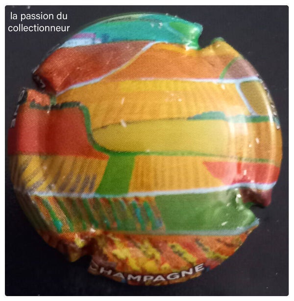 Capsule de champagne générique